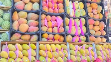 التفاح بكام في قنا؟ أسعار الخضراوات والفاكهة اليوم السبت